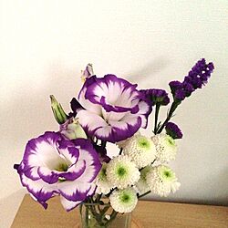 棚/お花のインテリア実例 - 2013-05-23 13:44:04