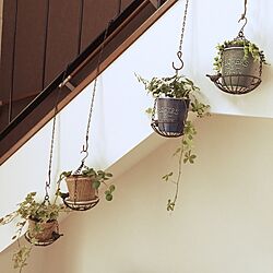 壁/天井/観葉植物/植物が好き/吹き抜けリビング/緑のある暮らし...などのインテリア実例 - 2017-02-01 19:14:25