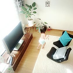 リビング/アパート/六畳/テレビ台DIY/観葉植物...などのインテリア実例 - 2016-03-16 08:58:46