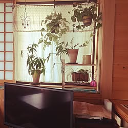 棚/ここをなんとかしたい。/観葉植物♡/DIY/セリア...などのインテリア実例 - 2016-02-02 12:18:02