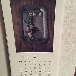 如月/自分の部屋用/好きなカレンダー/スノードロップ/立春のころ...などのインテリア実例 - 2022-02-01 20:41:42