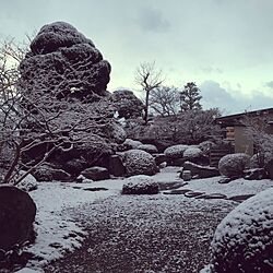 雪/さるすべり/日本庭園/庭のインテリア実例 - 2016-01-19 09:14:46