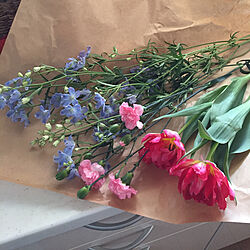 棚/花/花が好き/お花屋さんで購入のインテリア実例 - 2018-03-13 14:02:09