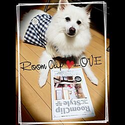 RoomClipStyle/愛犬を溺愛しています♡のインテリア実例 - 2014-09-02 21:37:03