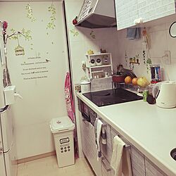 キッチン/ニトリ/IKEA/DIY/ダイソー...などのインテリア実例 - 2017-02-10 19:15:47