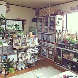 部屋全体/多肉植物/アロエ/観葉植物/空き箱リメイク...などのインテリア実例 - 2016-10-05 07:12:27