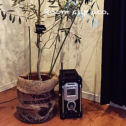 部屋全体/カメラマーク出ちゃったので…/漆喰壁DIY/オリーブの木/DAISOの麻袋...などのインテリア実例 - 2015-02-13 16:11:21