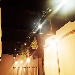 壁/天井/照明/LED電球/いなざうるす屋さんのインテリア実例 - 2016-07-07 23:24:35