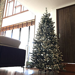 木製ブラインド/クリスマスツリー/クリスマス/自然素材の家/ホテルライク...などのインテリア実例 - 2020-12-04 21:22:43