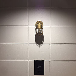 玄関/入り口/インターホンカバー/ブロック壁/真鍮/照明のインテリア実例 - 2020-07-07 23:16:57