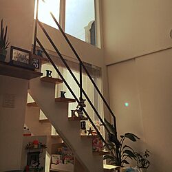 壁/天井/100均/観葉植物/DIY/収納のインテリア実例 - 2017-01-19 12:45:27