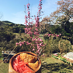 お外ご飯/桜終わっちゃったな/空が青いぜ/農婆の毎日/花...などのインテリア実例 - 2019-04-20 13:05:33