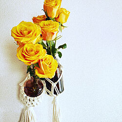 黄色/手作り/花瓶/マクラメ/はなのある暮らし...などのインテリア実例 - 2023-03-09 11:36:32