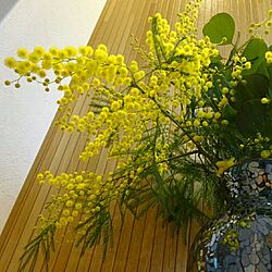 GREENのある暮らし/春の暮らし/mimosa/ハーバルライフ/花と暮らす。...などのインテリア実例 - 2017-04-03 18:15:29