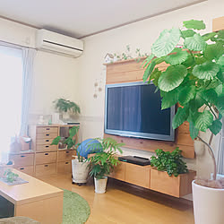 壁掛けテレビボードのある暮らし/観葉植物のある暮らし/〇〇のある暮らし/北欧インテリア/北欧ナチュラル...などのインテリア実例 - 2020-01-21 17:05:01