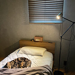ベッド周り/IKEA 照明/シンプルインテリア/ミニマリスト/スッキリ暮らしたい...などのインテリア実例 - 2024-05-28 09:04:43