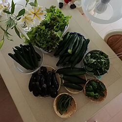 机/夏/7月25日/家庭菜園の夏野菜/雨続きですが野菜は順調でした...などのインテリア実例 - 2019-07-25 19:40:48