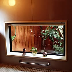 バス/トイレ/照明/植物/陶器のインテリア実例 - 2015-09-24 11:14:35