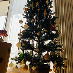 クリスマス飾り/クリスマスツリー/リビングのインテリア実例 - 2021-12-27 21:29:02