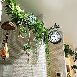 リビング/新築一戸建て/IG→noa.toa.maman/DAISO♥/観葉植物が欲しい...などのインテリア実例 - 2017-07-05 20:54:03