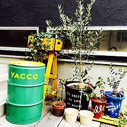 YACCO/植物/漆喰のインテリア実例 - 2016-02-07 13:38:42