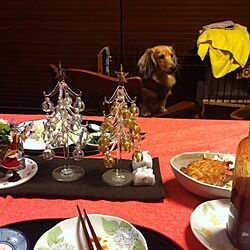 クリスマス/生活感/犬部♪のインテリア実例 - 2013-11-28 22:30:40