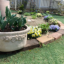 春の庭/レンガ花壇DIY/植物のある暮らし/花が好き/自然の恵み...などのインテリア実例 - 2021-04-09 12:11:40