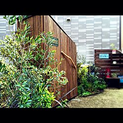 玄関/入り口/小屋DIY /植物/DIY/流木...などのインテリア実例 - 2016-04-06 15:54:25