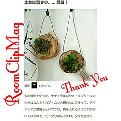 壁/天井/観葉植物　/グリーンインテリア/ハンドメイド/100円ショップ...などのインテリア実例 - 2017-02-07 18:21:37