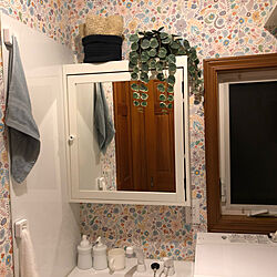 洗面所の壁/IKEA/フェイクグリーン/バス/トイレのインテリア実例 - 2021-09-09 18:41:33