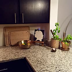 キッチン/plants/DIY/tablescape/gold...などのインテリア実例 - 2015-05-28 11:57:13