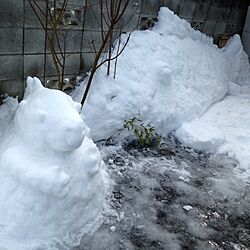 玄関/入り口/雪のインテリア実例 - 2014-02-17 11:53:06