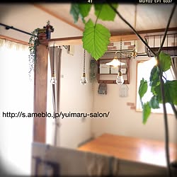 部屋全体/セリア電球リメイク/フェイクグリーン/セリア/DIY...などのインテリア実例 - 2015-03-18 11:42:22