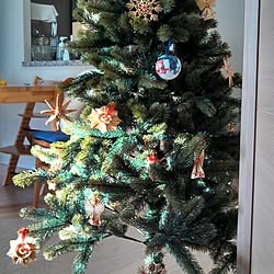 リビング/クリスマスツリー/PLASTIFLORのインテリア実例 - 2013-12-02 23:26:41