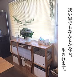 棚/みくろママ/観葉植物/無印良品のインテリア実例 - 2017-06-19 10:08:50