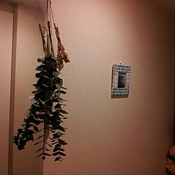 玄関/入り口/植物のインテリア実例 - 2014-01-20 22:53:36