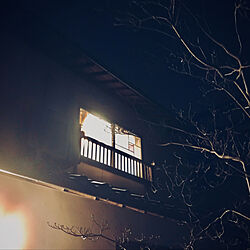 ハナミズキの木/庭/ライトアップ/和風な玄関/夜の庭...などのインテリア実例 - 2022-02-09 22:05:39