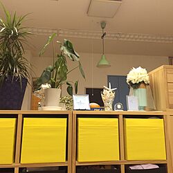 ベッド周り/IKEA/観葉植物/照明/ナチュラルのインテリア実例 - 2015-11-04 11:20:17