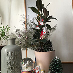 観葉植物/クリスマス/クリスマスのインテリア実例 - 2020-12-24 22:59:14