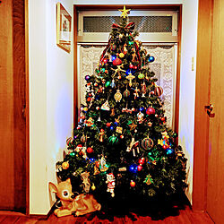 玄関/入り口/クリスマス/クリスマスツリーのインテリア実例 - 2021-11-18 04:18:38