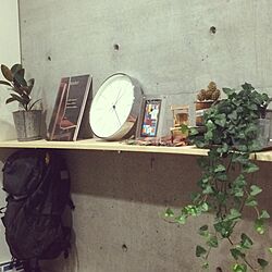 壁/天井/ナチュラル/観葉植物のインテリア実例 - 2016-04-13 00:27:11
