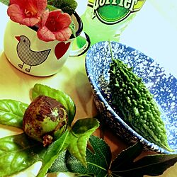キッチン/家庭菜園/ホーロー/庭の植物/マグカップのインテリア実例 - 2013-07-30 09:23:23