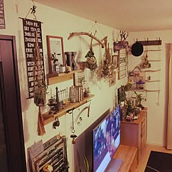 部屋全体/ハンティングトロフィー/DIY/観葉植物/男前...などのインテリア実例 - 2015-08-30 20:34:00