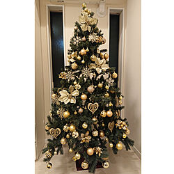 リビング/クリスマスツリー/クリスマス/飾り付け完了/ゴールド...などのインテリア実例 - 2020-11-25 00:37:22