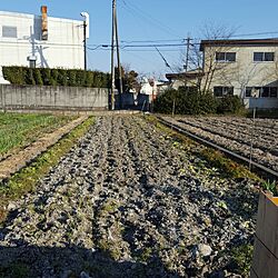 農業/家庭菜園のインテリア実例 - 2017-03-12 16:27:59