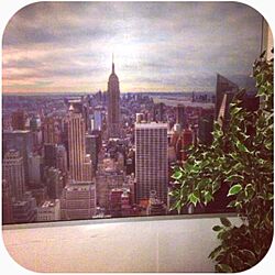 壁/天井/グリーン/ニューヨークのインテリア実例 - 2013-11-28 18:00:19
