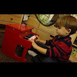 トイピアノ/ピアノ　/イシバシ楽器/KORG/幼児...などのインテリア実例 - 2015-11-30 18:06:21
