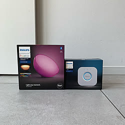 照明/Hue Bluetooth/Hue Go/Philips Hue/部屋全体のインテリア実例 - 2020-08-20 13:40:32