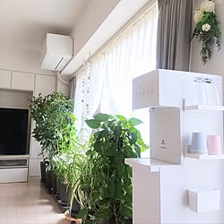 あなたがしてくれなくても/百均/観葉植物のある暮らし/マンション暮らし/浄水器...などのインテリア実例 - 2023-04-21 23:33:14