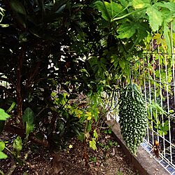 玄関/入り口/家庭菜園/和モダンのインテリア実例 - 2015-09-28 17:19:08